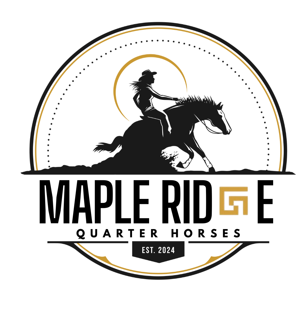 Maple Ridge Quarter Horses